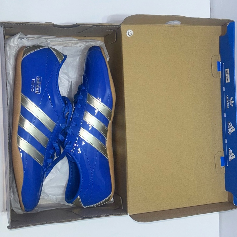 Adidas Royal Blue and Silver Indoor Shoes
